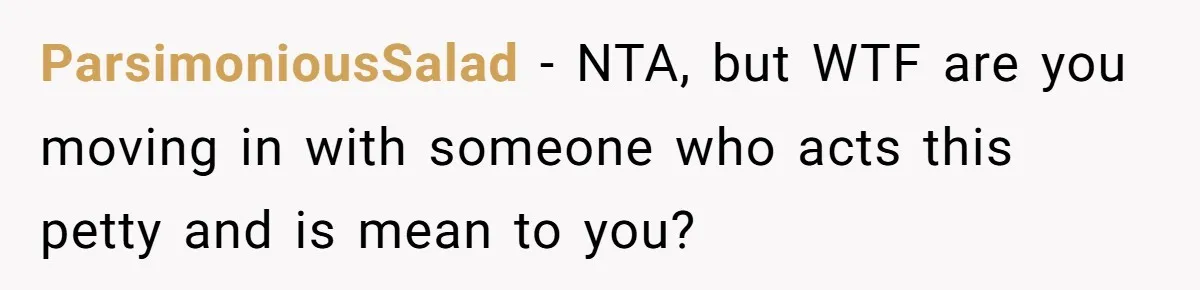 ParsimoniousSalad − NTA, but WTF are you moving in with someone who acts this petty and is mean to you?