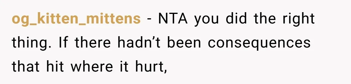 og_kitten_mittens − NTA you did the right thing. If there hadn’t been consequences that hit where it hurt,