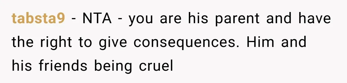 tabsta9 − NTA - you are his parent and have the right to give consequences. Him and his friends being cruel