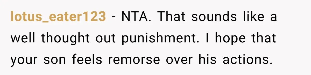 lotus_eater123 − NTA. That sounds like a well thought out punishment. I hope that your son feels remorse over his actions.