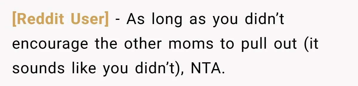 [Reddit User] − As long as you didn’t encourage the other moms to pull out (it sounds like you didn’t), NTA.