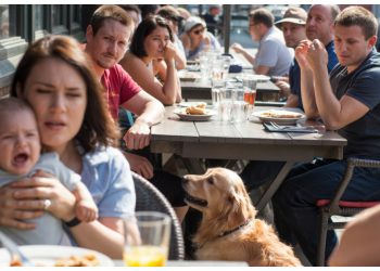Dad’s Crying Baby Clashes With a Dog Owner and a Patio Lunch Implodes