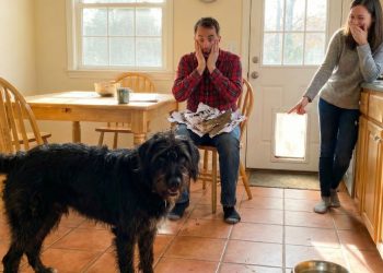 When a Date Insults a Dog, the Four-Legged Best Friend Gets the Last Laugh