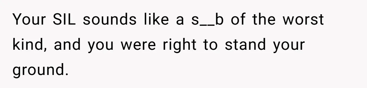 Your SIL sounds like a s__b of the worst kind, and you were right to stand your ground.