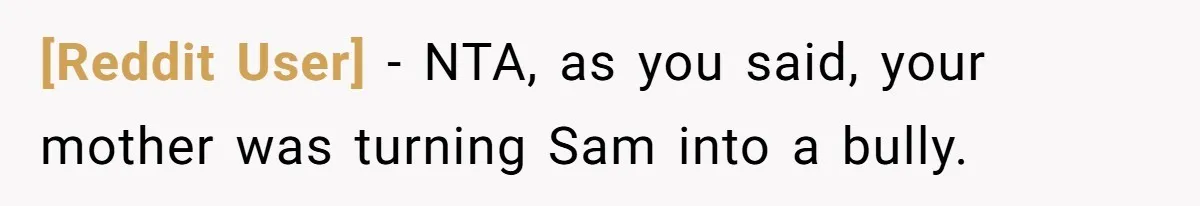 [Reddit User] − NTA, as you said, your mother was turning Sam into a bully.
