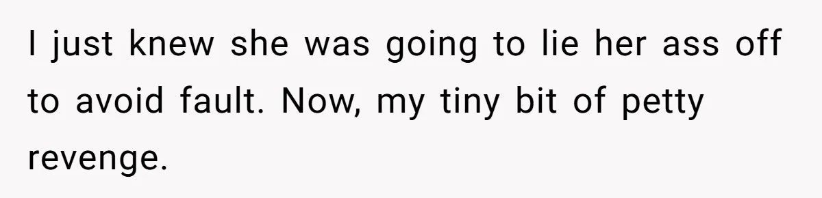 I just knew she was going to lie her ass off to avoid fault. Now, my tiny bit of petty revenge.