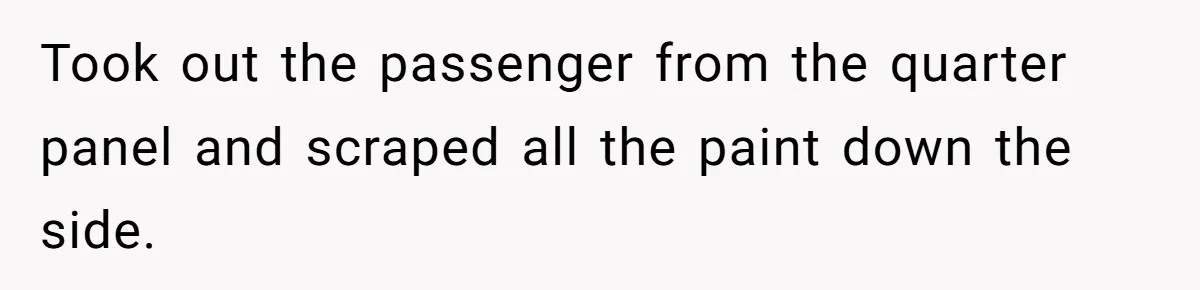 Took out the passenger from the quarter panel and scraped all the paint down the side.