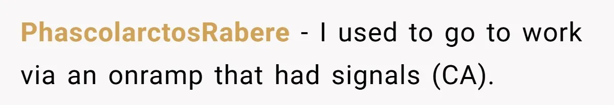 PhascolarctosRabere − I used to go to work via an onramp that had signals (CA).