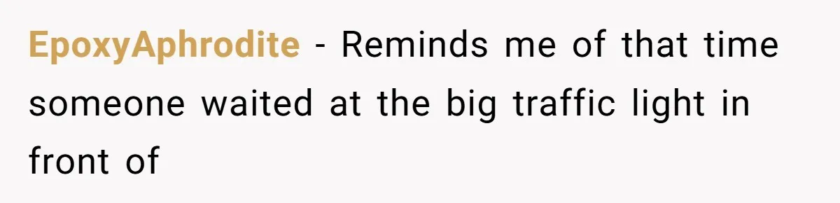 EpoxyAphrodite − Reminds me of that time someone waited at the big traffic light in front of