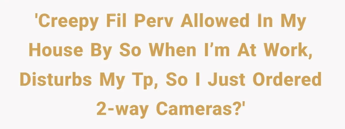 'Creepy FIL perv allowed in my house by SO when I’m at work, disturbs my TP, so I just ordered 2-way cameras?'