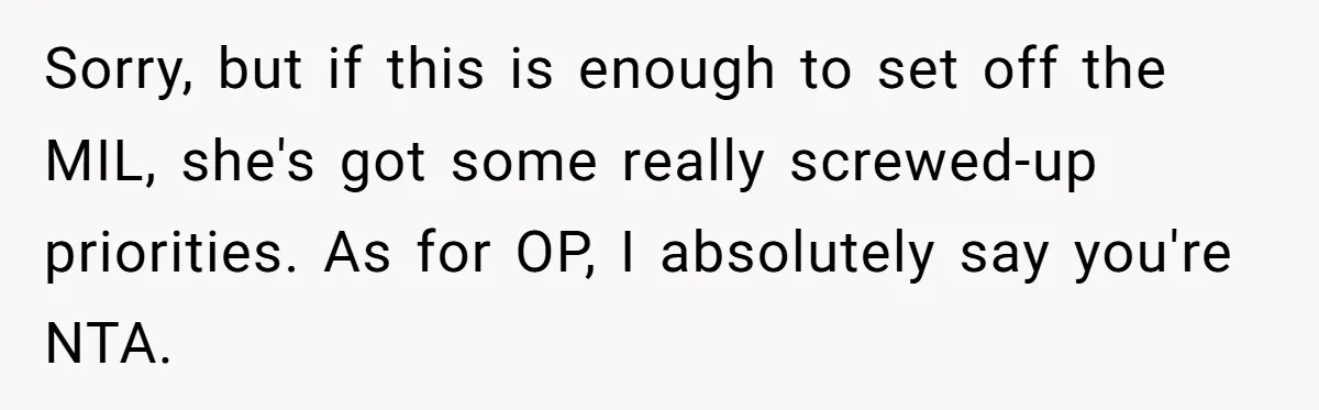 Sorry, but if this is enough to set off the MIL, she's got some really screwed-up priorities. As for OP, I absolutely say you're NTA.