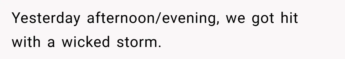 Yesterday afternoon/evening, we got hit with a wicked storm.