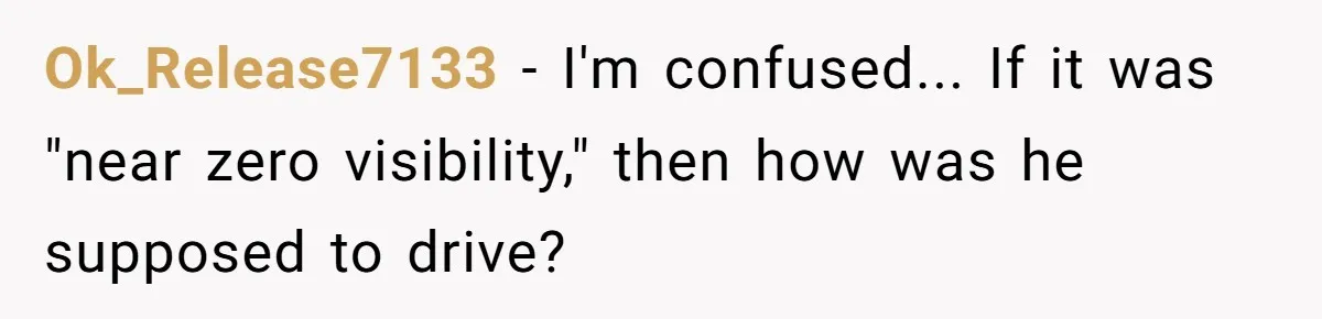 Ok_Release7133 − I'm confused... If it was "near zero visibility," then how was he supposed to drive?