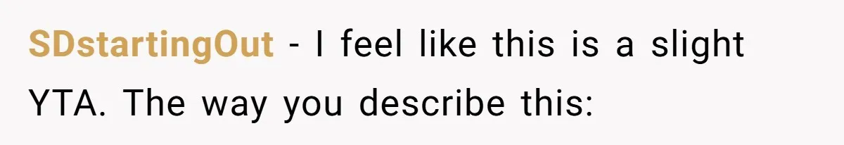 SDstartingOut − I feel like this is a slight YTA. The way you describe this: