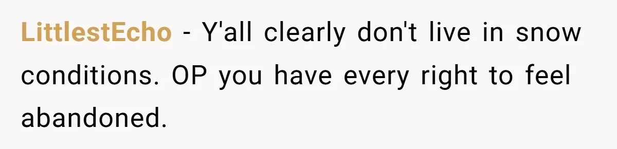 LittlestEcho − Y'all clearly don't live in snow conditions. OP you have every right to feel abandoned.