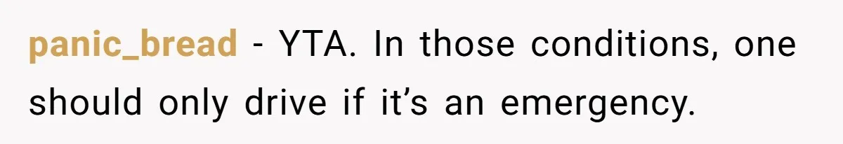 panic_bread − YTA. In those conditions, one should only drive if it’s an emergency.