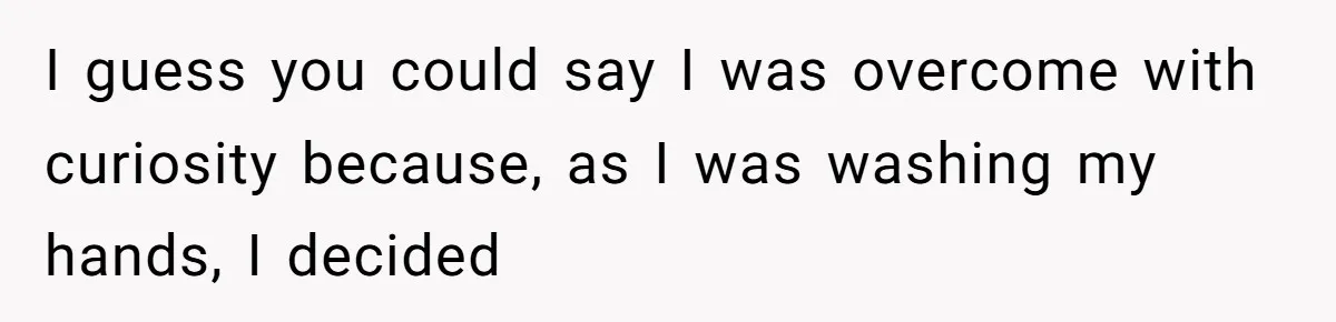 I guess you could say I was overcome with curiosity because, as I was washing my hands, I decided