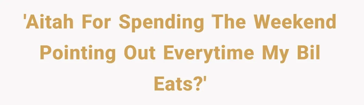 'AITAH for spending the weekend pointing out everytime my BIL eats?'