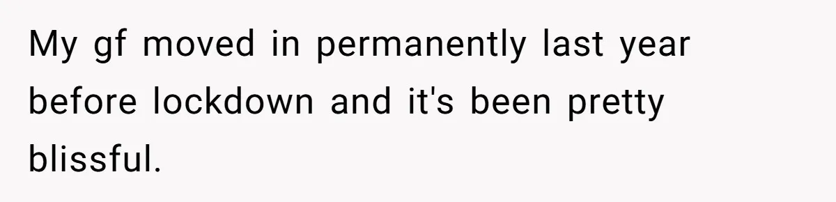 My gf moved in permanently last year before lockdown and it's been pretty blissful.