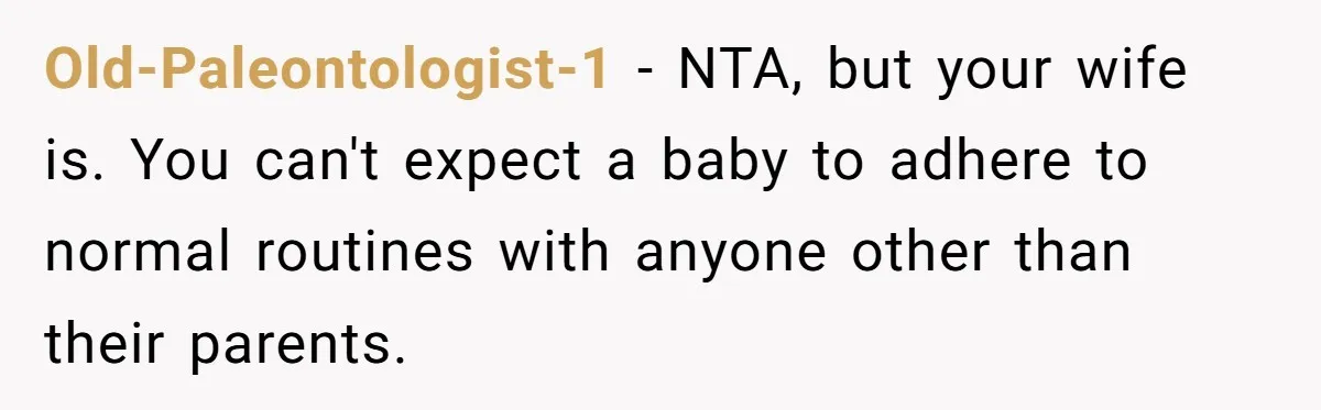 Old-Paleontologist-1 − NTA, but your wife is. You can't expect a baby to adhere to normal routines with anyone other than their parents.