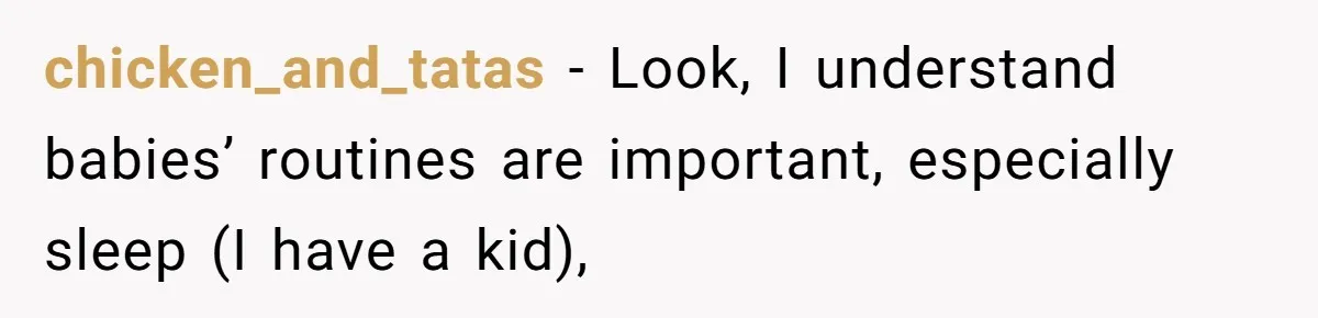 chicken_and_tatas − Look, I understand babies’ routines are important, especially sleep (I have a kid),