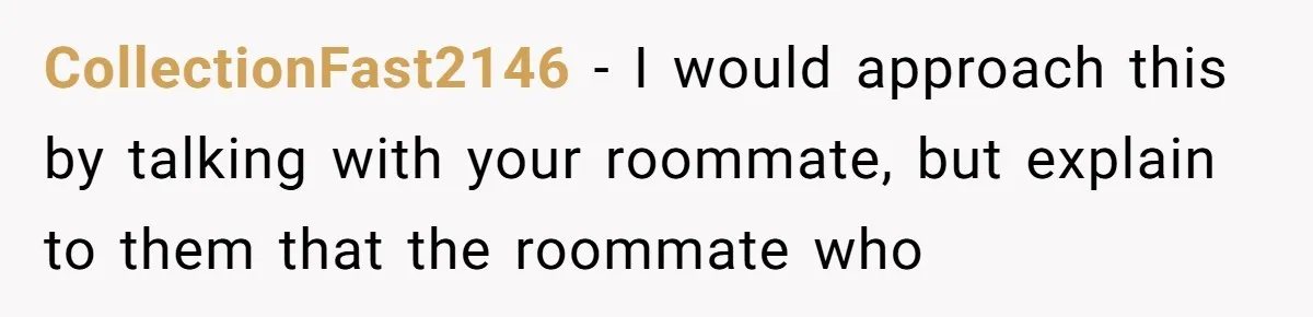 CollectionFast2146 − I would approach this by talking with your roommate, but explain to them that the roommate who