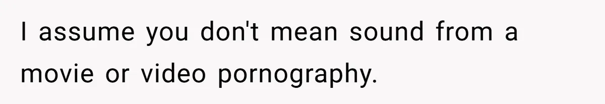 I assume you don't mean sound from a movie or video pornography.