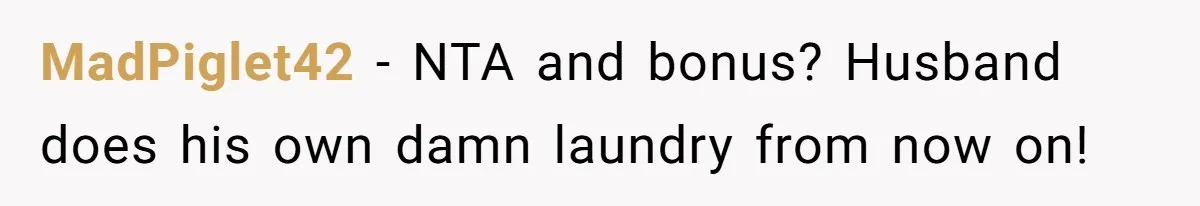 MadPiglet42 − NTA and bonus? Husband does his own damn laundry from now on!