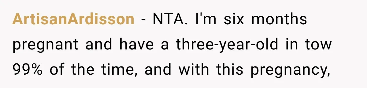 ArtisanArdisson − NTA. I'm six months pregnant and have a three-year-old in tow 99% of the time, and with this pregnancy,