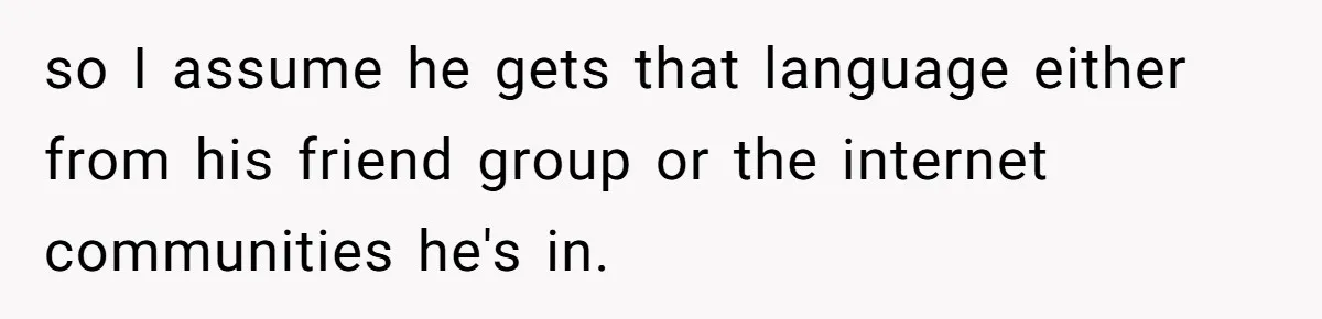 so I assume he gets that language either from his friend group or the internet communities he's in.