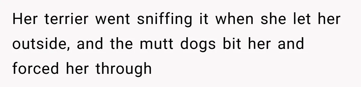 Her terrier went sniffing it when she let her outside, and the mutt dogs bit her and forced her through