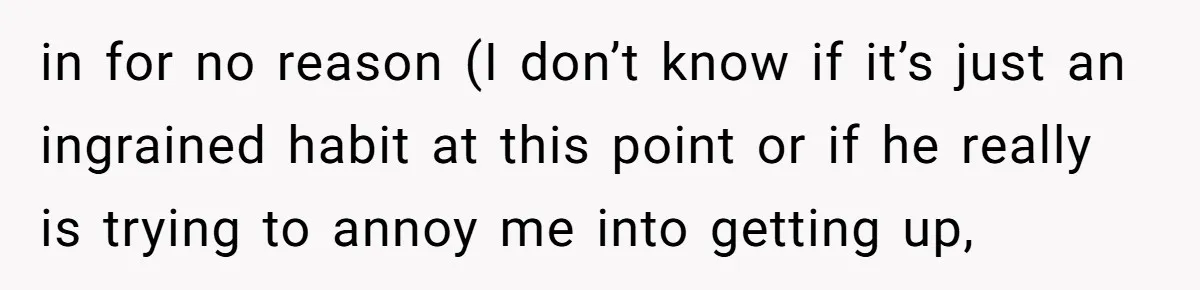 in for no reason (I don’t know if it’s just an ingrained habit at this point or if he really is trying to annoy me into getting up,