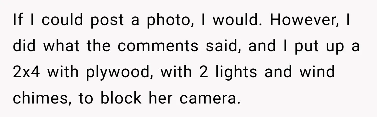 If I could post a photo, I would. However, I did what the comments said, and I put up a 2x4 with plywood, with 2 lights and wind chimes, to...