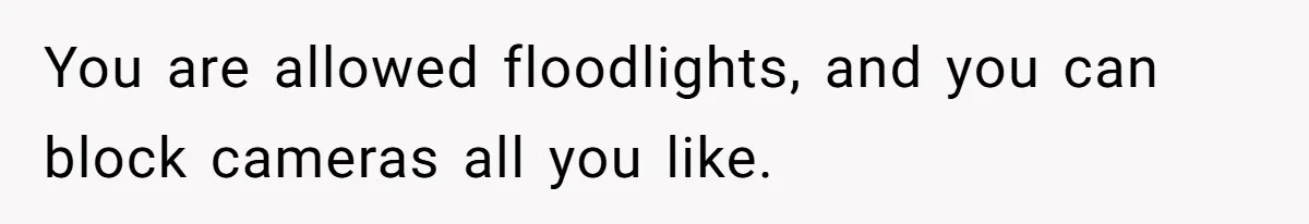 You are allowed floodlights, and you can block cameras all you like.