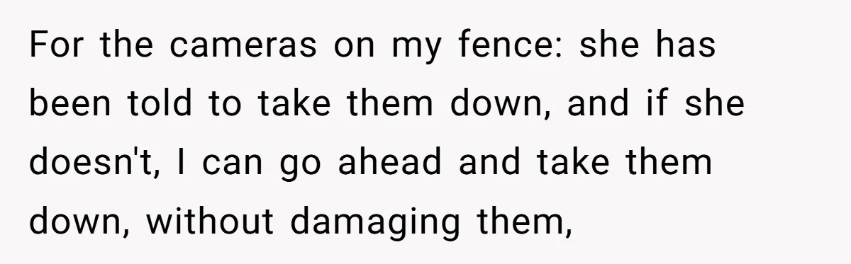 For the cameras on my fence: she has been told to take them down, and if she doesn't, I can go ahead and take them down, without damaging them,