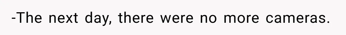 -The next day, there were no more cameras.