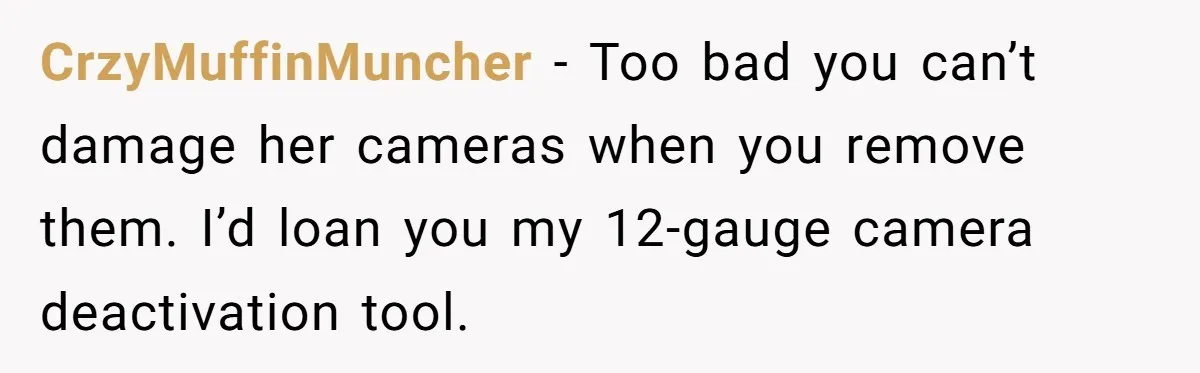 CrzyMuffinMuncher − Too bad you can’t damage her cameras when you remove them. I’d loan you my 12-gauge camera deactivation tool.