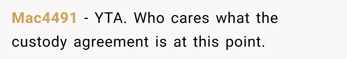 Mother Refuses To Swap Custody Week, Blocks Ex From Taking Kids To Disneyland And Turns Them Against Her Mac4491 − YTA. Who cares what the custody agreement is at this point.
