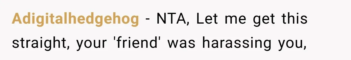 Adigitalhedgehog − NTA, Let me get this straight, your 'friend' was harassing you,