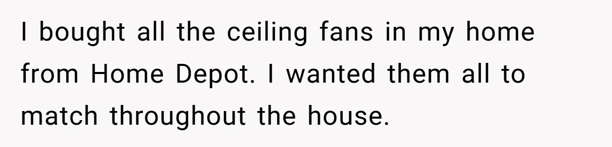 I bought all the ceiling fans in my home from Home Depot. I wanted them all to match throughout the house.