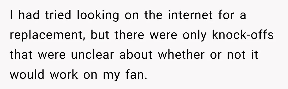 I had tried looking on the internet for a replacement, but there were only knock-offs that were unclear about whether or not it would work on my fan.
