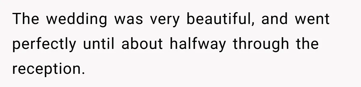 The wedding was very beautiful, and went perfectly until about halfway through the reception.