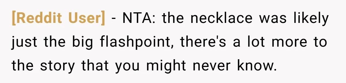 [Reddit User] − NTA: the necklace was likely just the big flashpoint, there's a lot more to the story that you might never know.