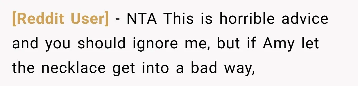 [Reddit User] − NTA This is horrible advice and you should ignore me, but if Amy let the necklace get into a bad way,