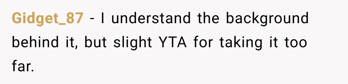 Gidget_87 − I understand the background behind it, but slight YTA for taking it too far.