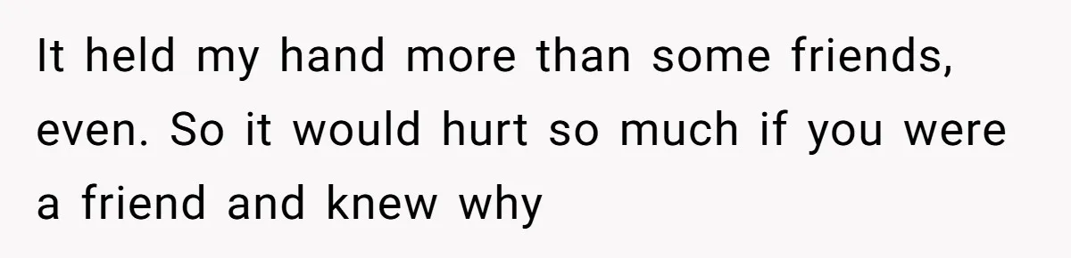 It held my hand more than some friends, even. So it would hurt so much if you were a friend and knew why