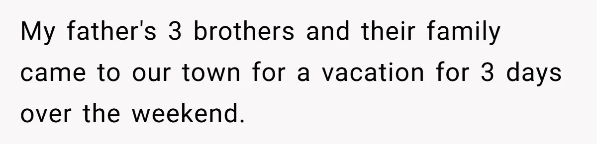 My father's 3 brothers and their family came to our town for a vacation for 3 days over the weekend.