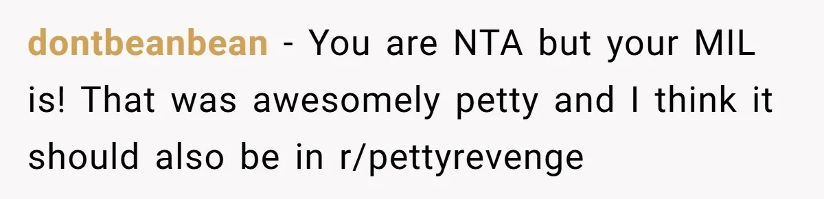 dontbeanbean − You are NTA but your MIL is! That was awesomely petty and I think it should also be in r/pettyrevenge