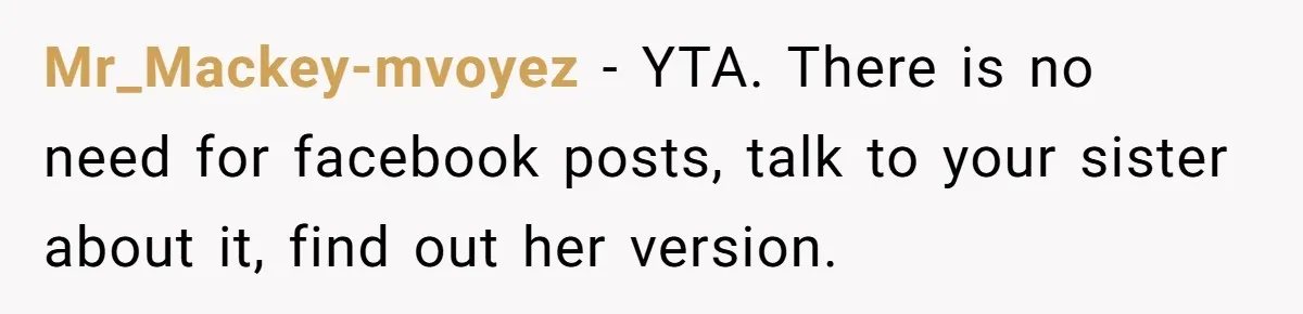 Mr_Mackey-mvoyez − YTA. There is no need for facebook posts, talk to your sister about it, find out her version.
