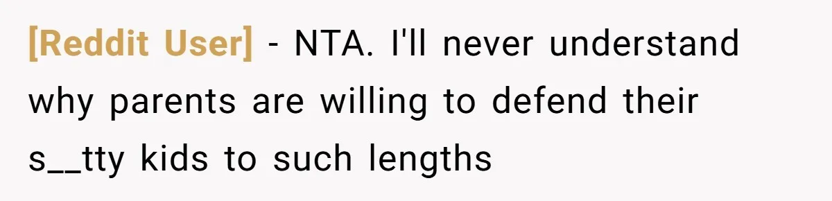 [Reddit User] − NTA. I'll never understand why parents are willing to defend their s__tty kids to such lengths